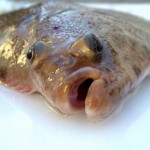 iStock_000000393310Medium