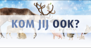 vredesdienst-facebook-post-share